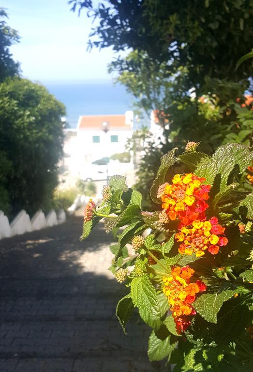 Ocean Villa With Private Pool Ericeira Εξωτερικό φωτογραφία